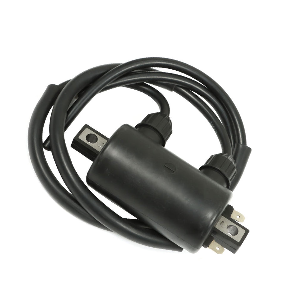 Fit For Honda VT750C Shadow 750 1983 / VT800C Shadow 800 1988 2 Ignition Coil