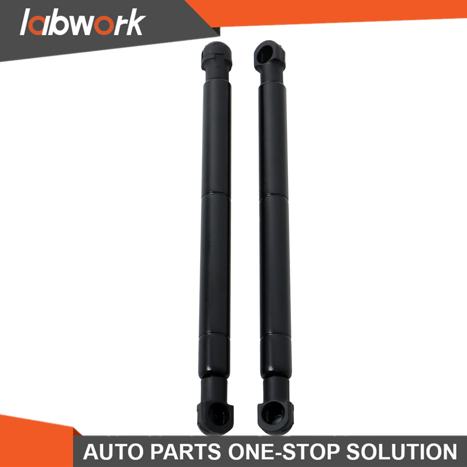 Labwork 2PK Steering Damper Shock Absorber For Hustler FasTrak and Raptor 603983