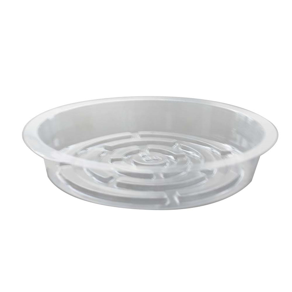 10Pcs 8 Inch Thick New Clear Plastic Sturdy Planting Flower Saucer Drip Trays