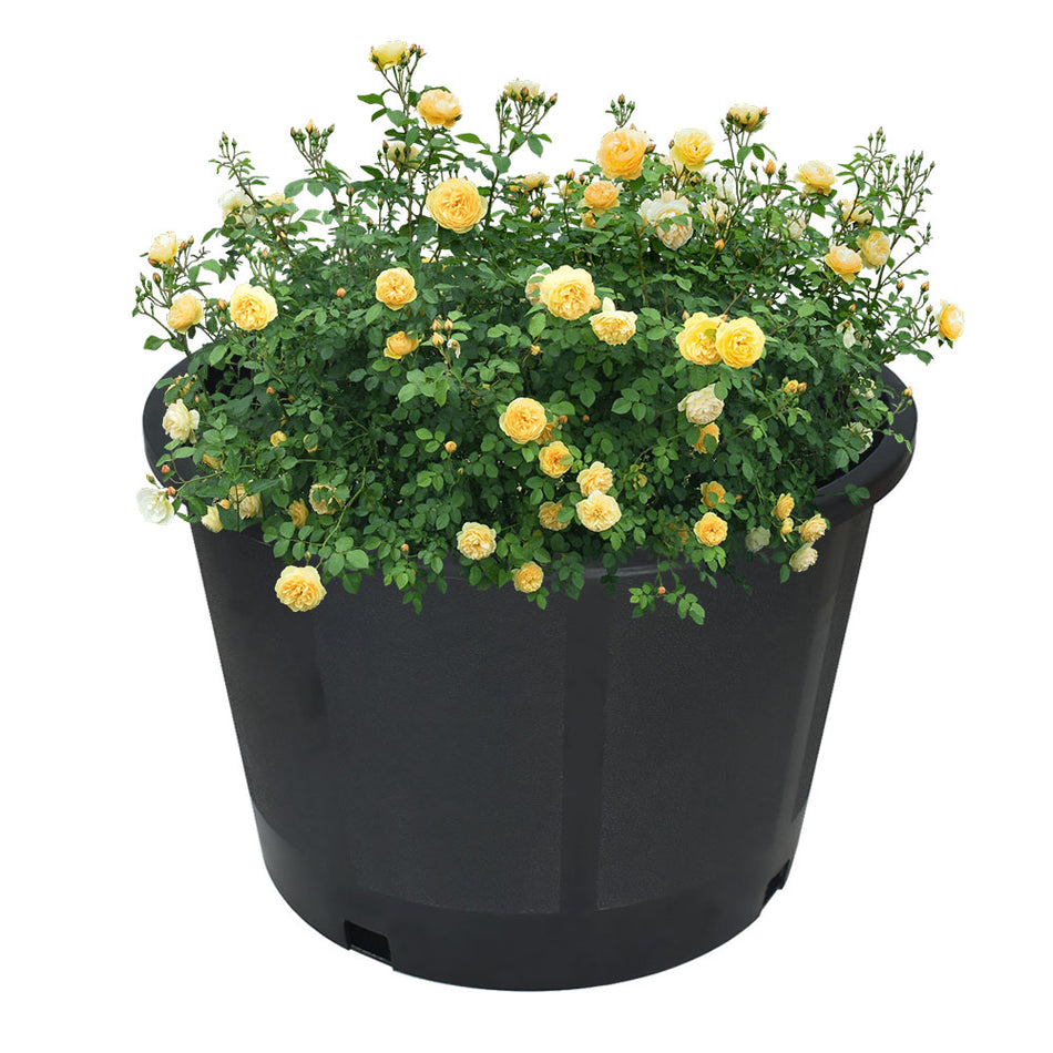 5 Gallon 10Pcs Plant Flower Nursery Pot  Injection Molded Container Premium US