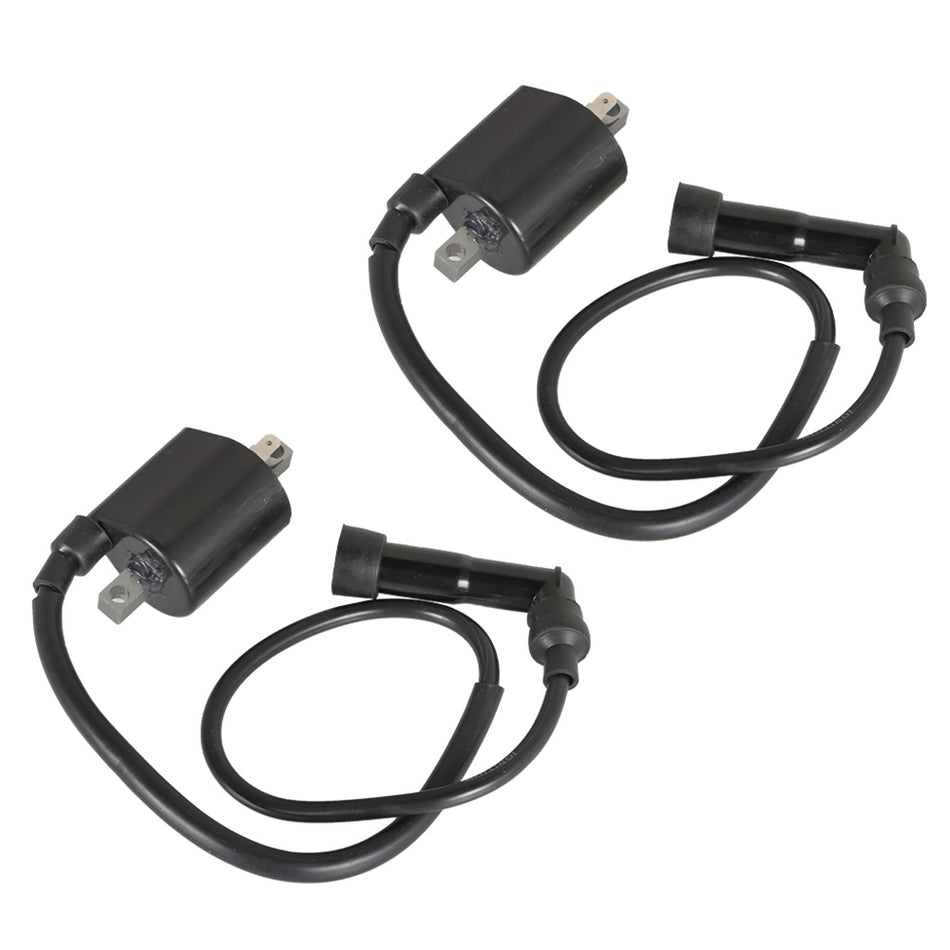 2Pcs For Yamaha Virago XV700 XV750 XV1000 XV1100 42X-82310-70-0 Ignition Coils