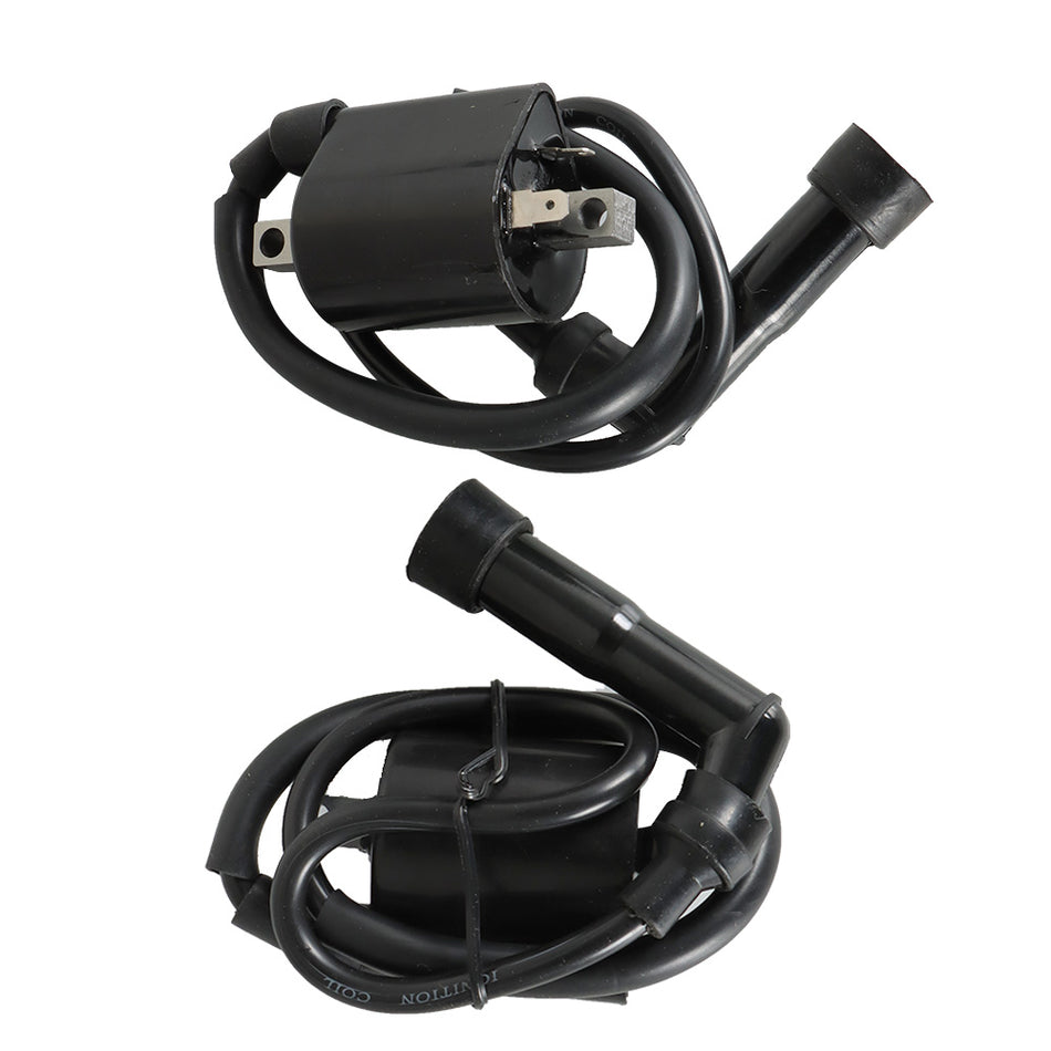 2Pcs For Yamaha Virago XV700 XV750 XV1000 XV1100 42X-82310-70-0 Ignition Coils