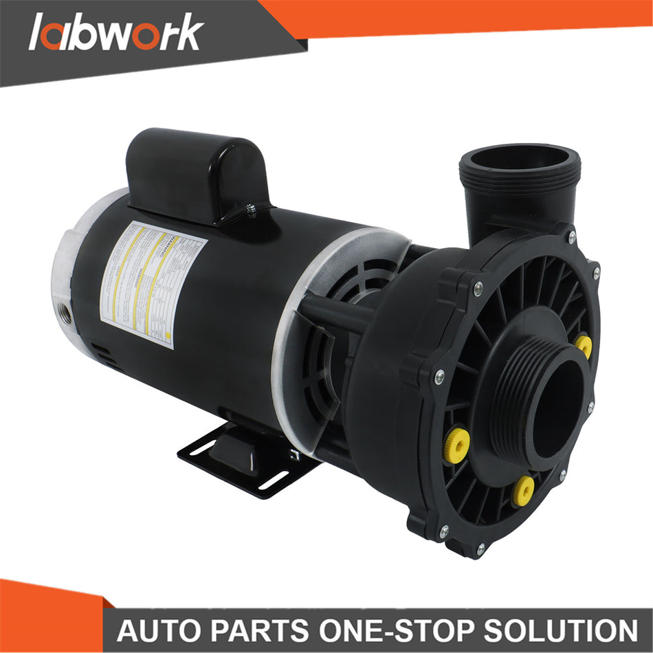 Labwork 1-4 HP Dual-Speed Swimming Hot Tub & Spa Pump For 3711621-1D 56Y Frame