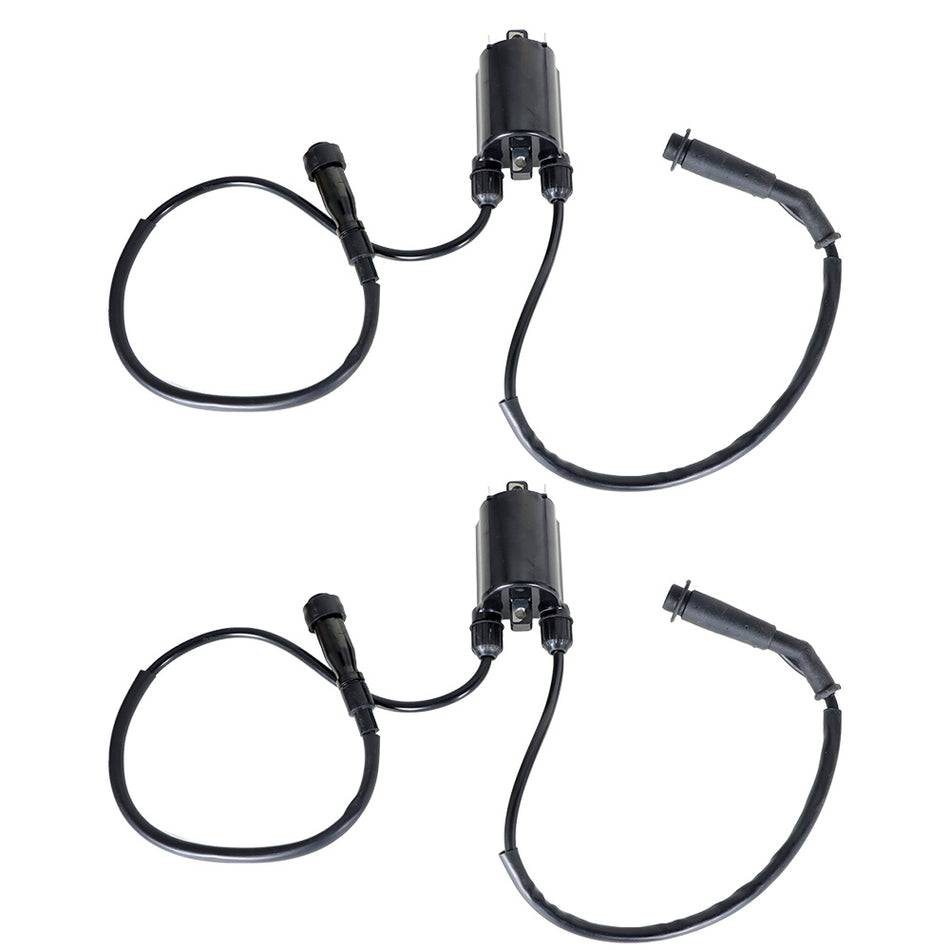 NEW For HONDA Shadow VLX VT600C 1988-07 2sets of Ignition Coil & Spark Plug Cap