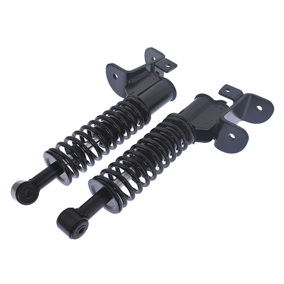 Set of 2 Front Shock Strut Assembly for EZGO RXV Golf Carts 2008+ 603024 601246