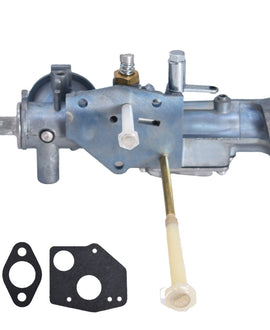 labwork Carburetor & Gasket Kit for Briggs & Stratton 299437 297599 100200 130200 135200 Series