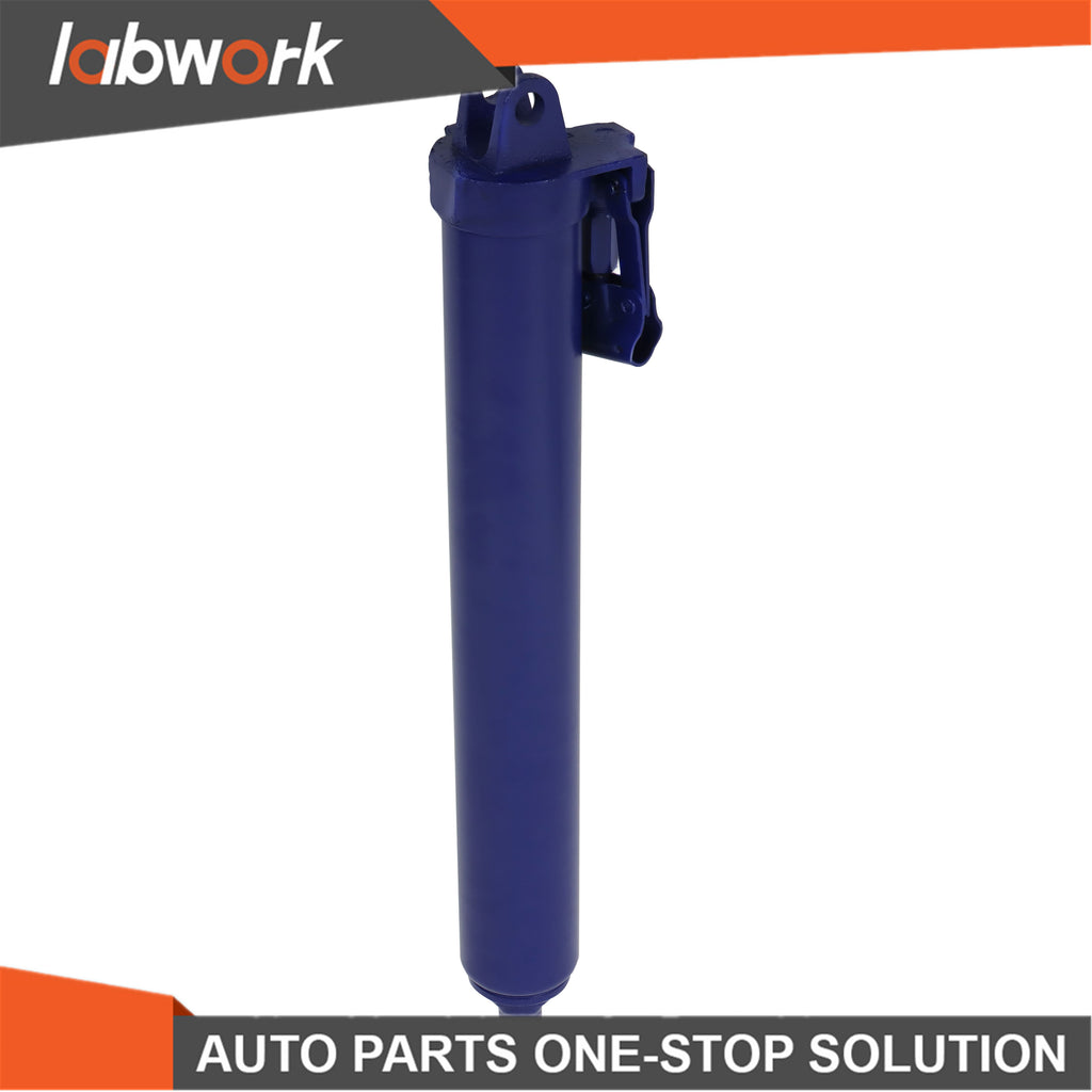 Labwork 8t Hydraulic Long Ram Jack Lift Jacking Shop Crane Engine Hoist Lifting