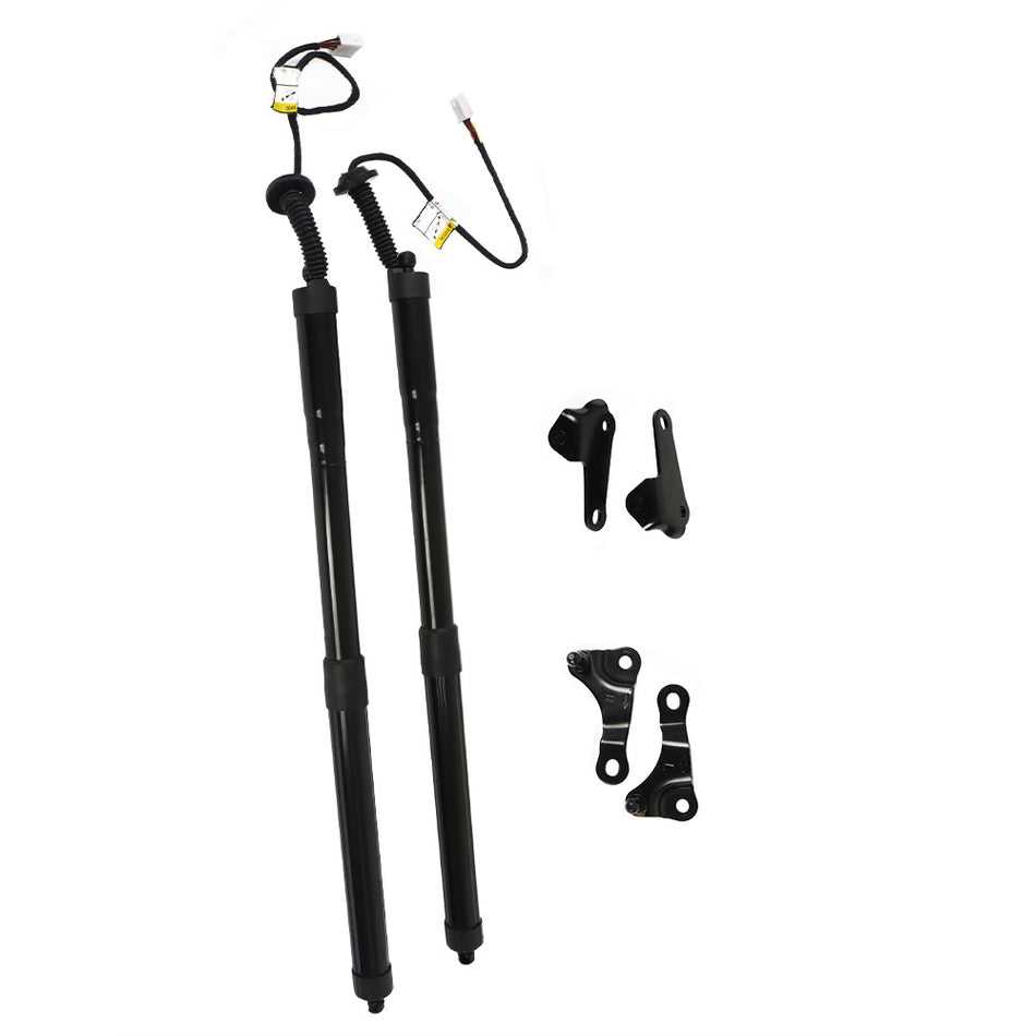 labwork 2-Pack Rear Left and Right Electric Tailgate Strut Power Trunk Lift Support Shock Replacement for 2015-2020 NX 200t NX 300h 6892079016 6891079016