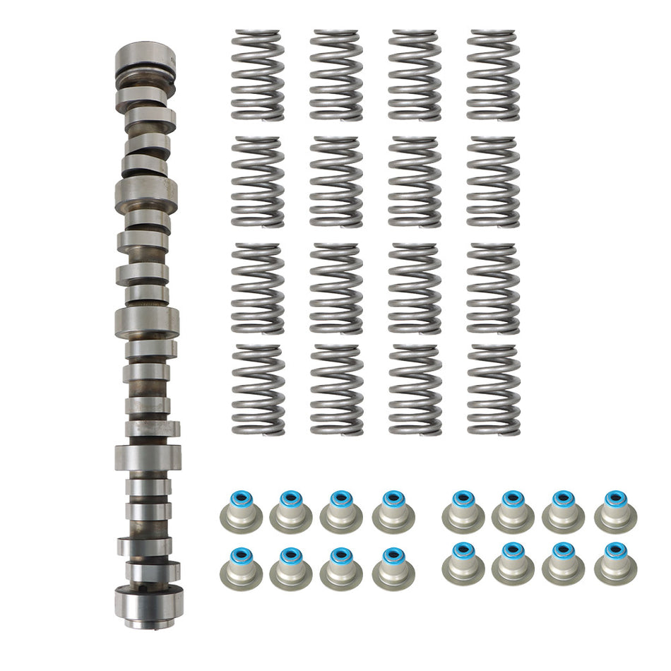 Spring Sealed Camshaft Kit Replacement for 1999-2013 Truck BTR31824100