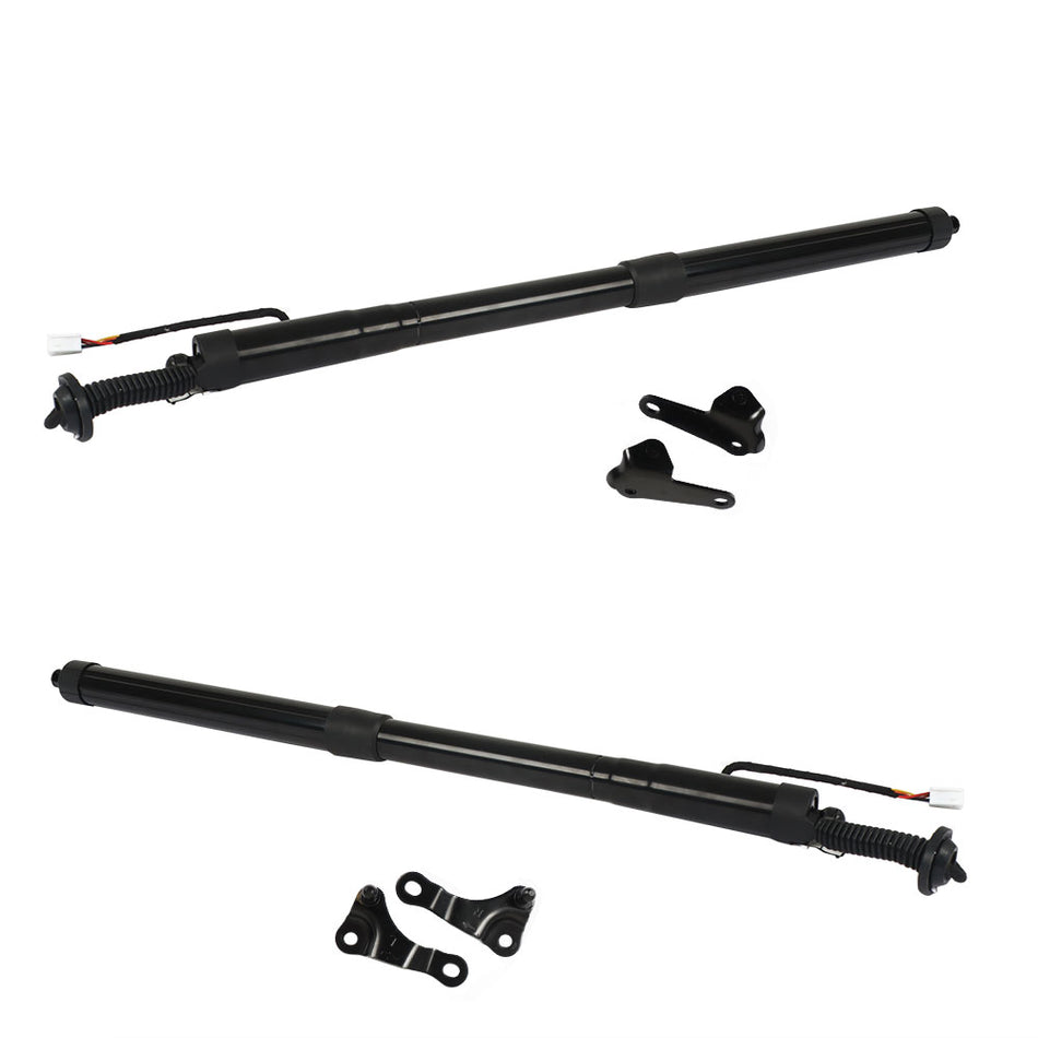 labwork 2-Pack Rear Left and Right Electric Tailgate Strut Power Trunk Lift Support Shock Replacement for 2015-2020 NX 200t NX 300h 6892079016 6891079016