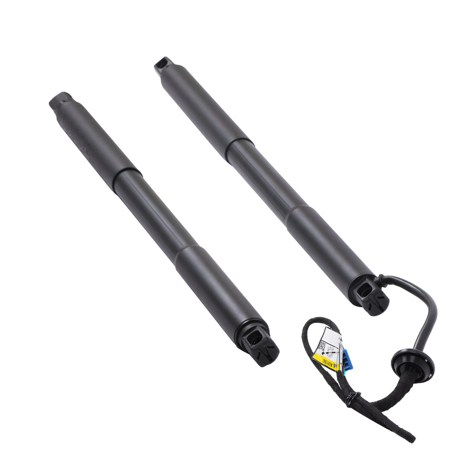 labwork 2013–2019 2-Piece Rear Trunk Lift Support Shock Replacement for X166/GL350/GL450/GL550/GLS450