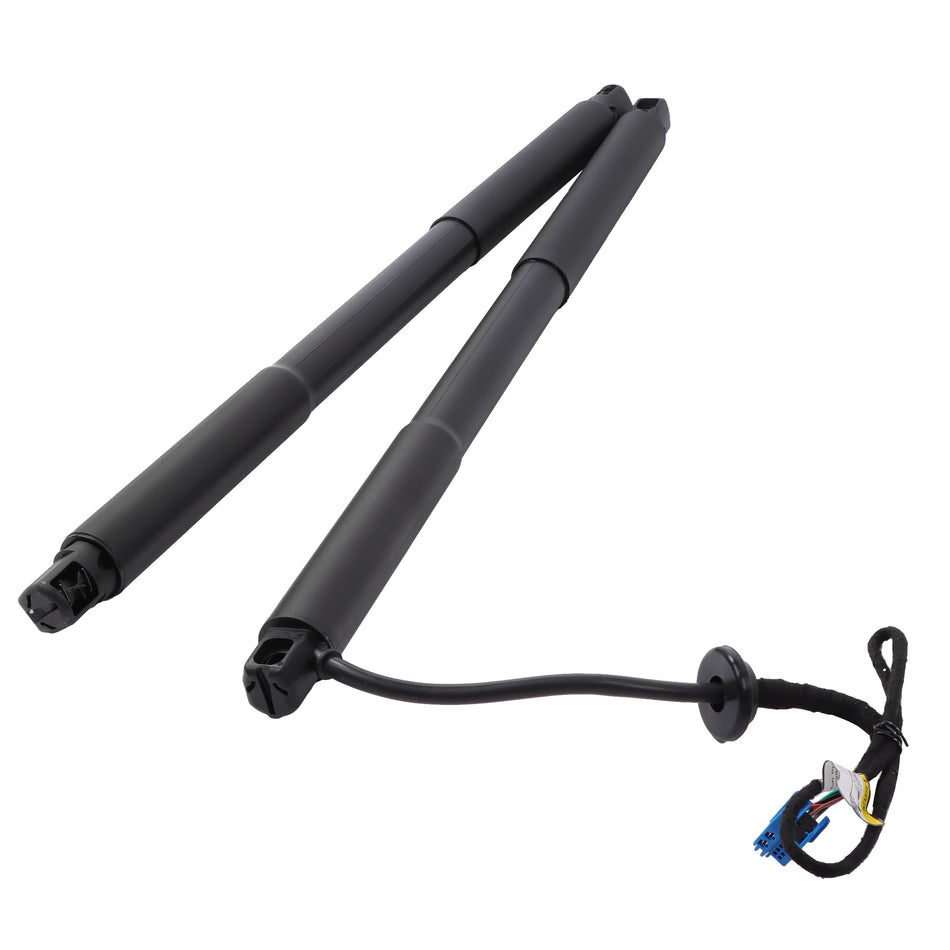 labwork 2013–2019 2-Piece Rear Trunk Lift Support Shock Replacement for X166/GL350/GL450/GL550/GLS450