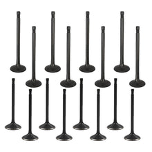 Load image into Gallery viewer, For GM 2.0 - 2.2 - 2.4 ECOTEC DOHC  Intake Exhaust Engine Valves 16pcs Lab Work Auto