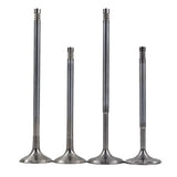 NEW Intake Exhaust Valves Fit for VW R32 Touareg CC Passat AUDI Q7 3.2 3.6 V6