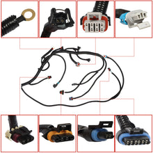 Load image into Gallery viewer, labwork Wiring Harness DBC LS1 Fit For 1997-2006 W/ 4L80E 4.8L 5.3L 6.0L EV6 Lab Work Auto